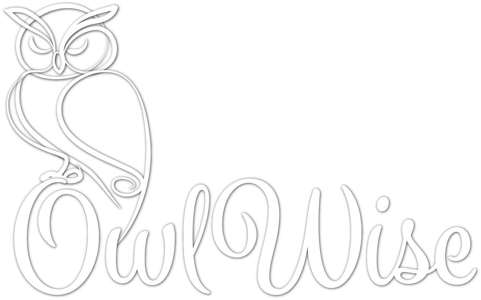 owl wise logo