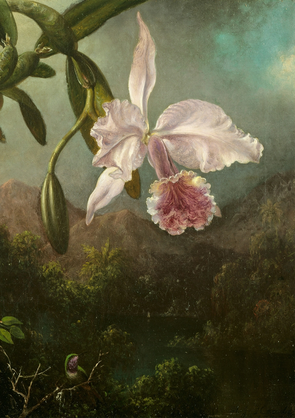 flower